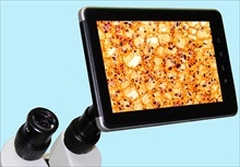 Microscope LCD Digital Tablet Cameras